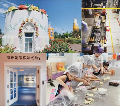 文旅融合新花樣 食品工廠參觀與沉浸體驗(yàn)引領(lǐng)旅游文化發(fā)展